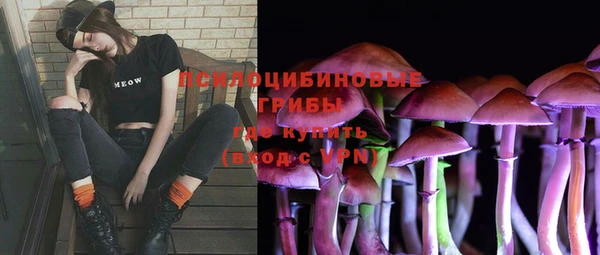 мет Алексин