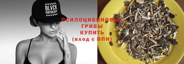 молекула духа Алексеевка