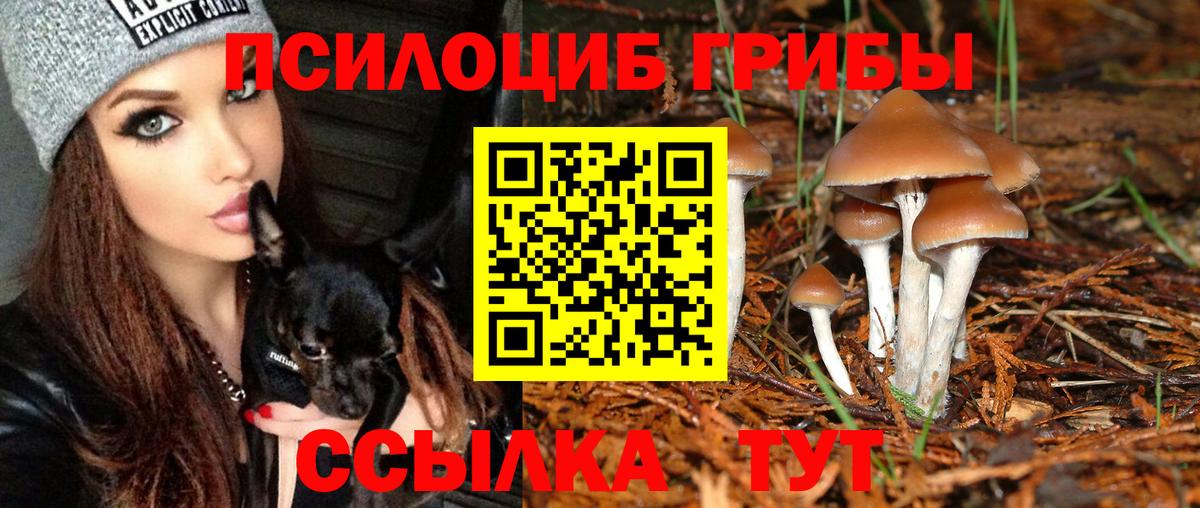 Галлюциногенные грибы мухоморы Морозовск